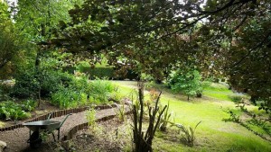 Duddingston Dr Neil's gardens - Venue-121 Edinburgh Fringe